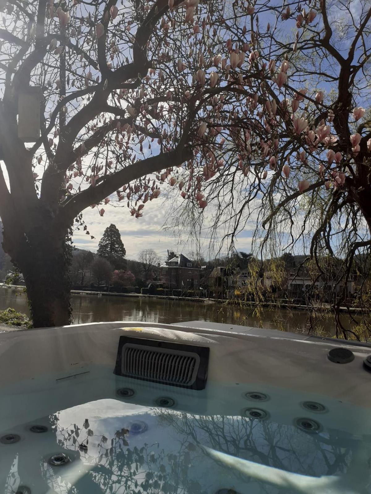 Villa Pieds Dans L'Eau Private Wellness Bordure De Meuse Lustin Exterior foto