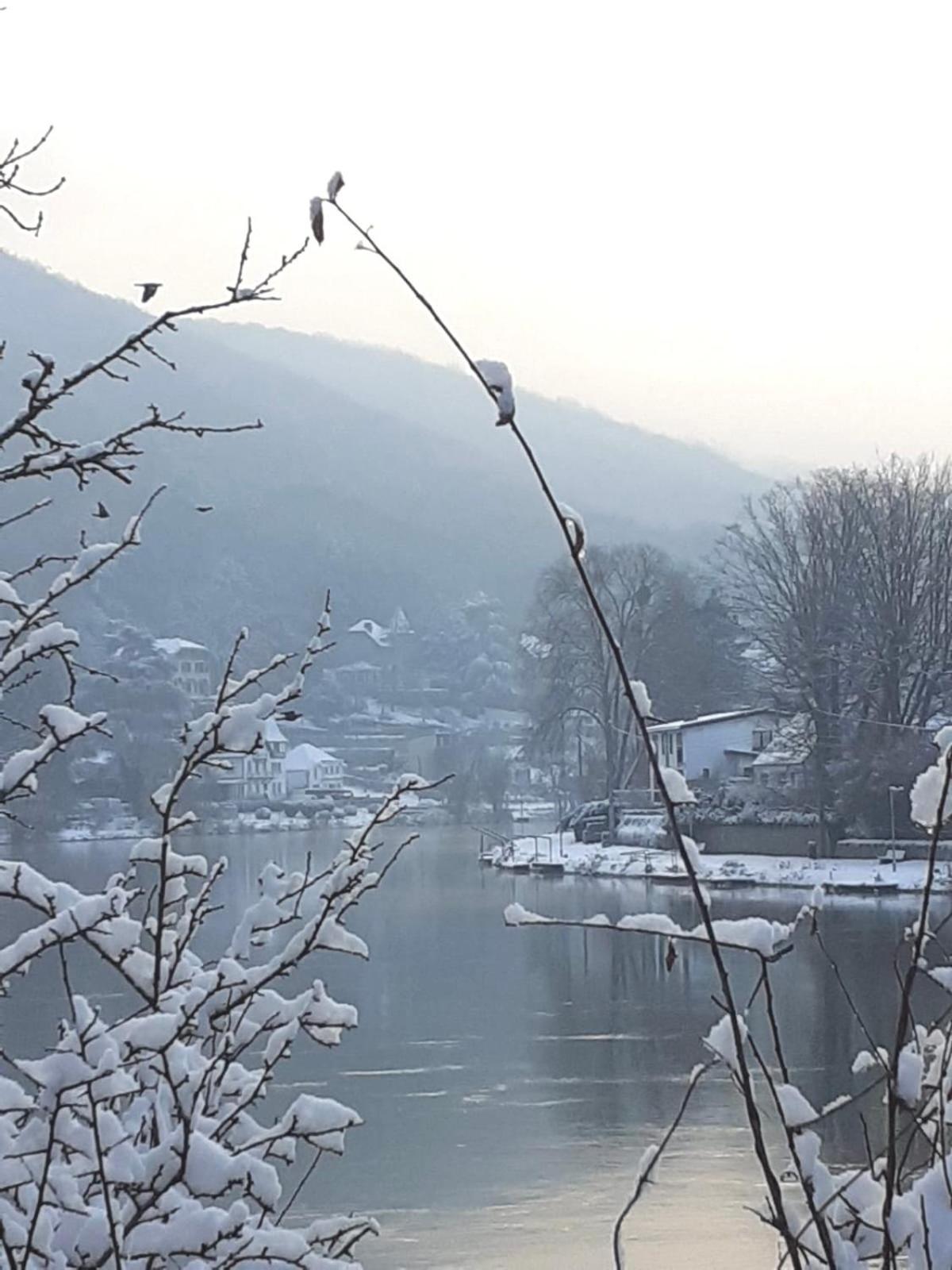 Villa Pieds Dans L'Eau Private Wellness Bordure De Meuse Lustin Exterior foto