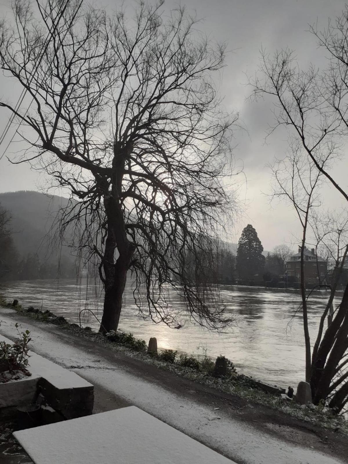 Villa Pieds Dans L'Eau Private Wellness Bordure De Meuse Lustin Exterior foto